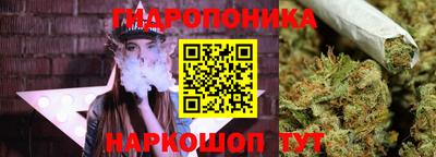 дживик Сланцы