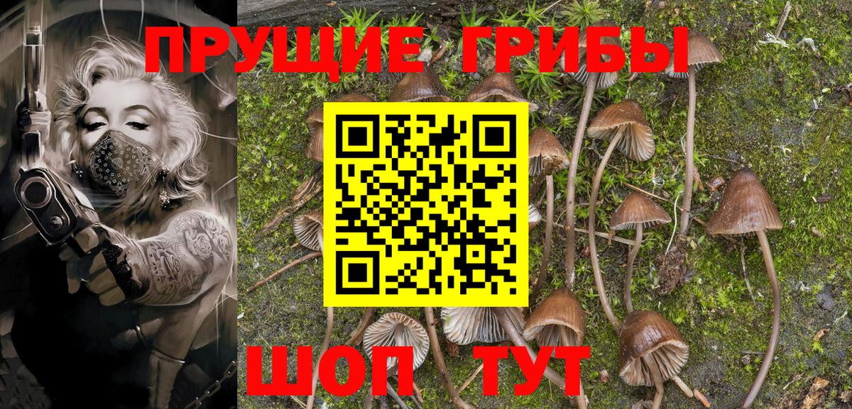 Галлюциногенные грибы Psilocybine cubensis  Псилоцибиновые грибы Psilocybe  Тара  Вход с VPN 